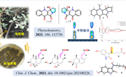 【科研进展】北部湾红树内生岐皱青霉活性代谢产物研究取得新进展