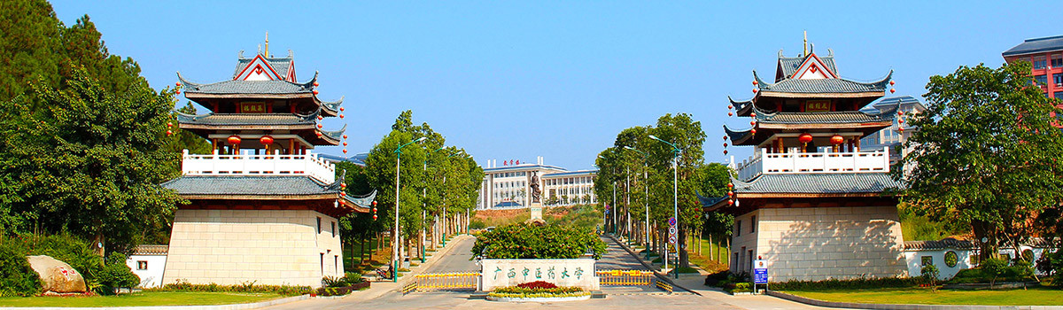 首页大图-01